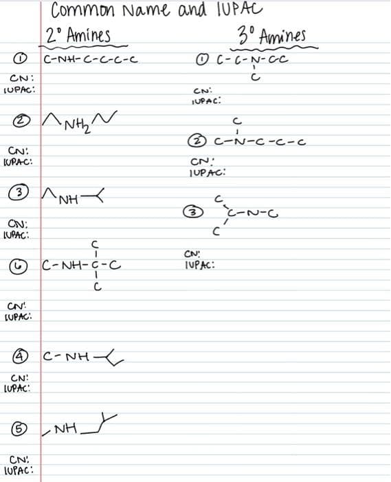 (
CN:
IUPAC:
CN:
IUPAC:
Ⓒ^NH₂ ~
CN;
LUPAC:
Ⓒ
3^NH
CN!
[UPAC:
Common Name and IUPAC
2° Amines
(4)
CN:
LUPAC:
C-NH-C-C-C-C
CN:
IUPAC:
I
C-NH-C-C
C-NH
с
-NH
с
ⒸC-C-N-C-C
CN:
IUPAC:
с
J
2C-N-C-C-C
CN:
IUPAC:
3⁰ Amines
33 C-N.
C
CN:
IUPAC:
~-c