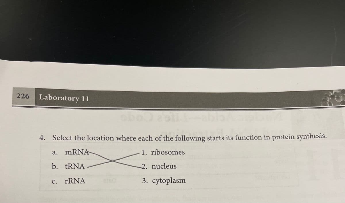 226 Laboratory 11
aboo
A
4. Select the location where each of the following starts its function in protein synthesis.
a. mRNA
1. ribosomes
b.
tRNA
2. nucleus
c.
rRNA
3. cytoplasm