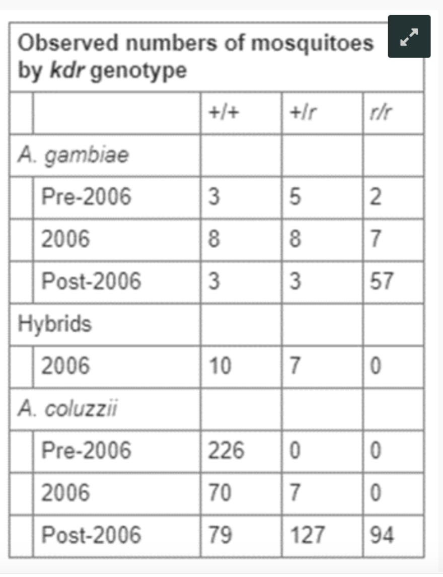 Observed numbers of mosquitoes
by kdr genotype
+/+
+/r
r/r
A. gambiae
Pre-2006
3
5
2
2006
8
8
Post-2006
3
3
གྲུབ
57
Hybrids
2006
10
7
0
A. coluzzii
Pre-2006
226
0
0
2006
70
7
0
Post-2006
79
127
94