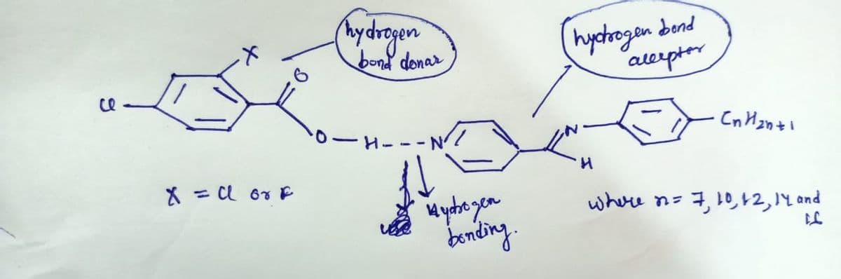 x = Clor E
(hydrogen
bond donar
-N/
куфоден
bonding.
hydrogen bend
acceptor
H
17 ич низ
Where n2= 7, 10, 12, 14 and