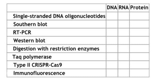 Single-stranded DNA oligonucleotides
Southern blot
RT-PCR
Western blot
Digestion with restriction enzymes
Taq polymerase
Type II CRISPR-Cas9
Immunofluorescence
DNA RNA Protein