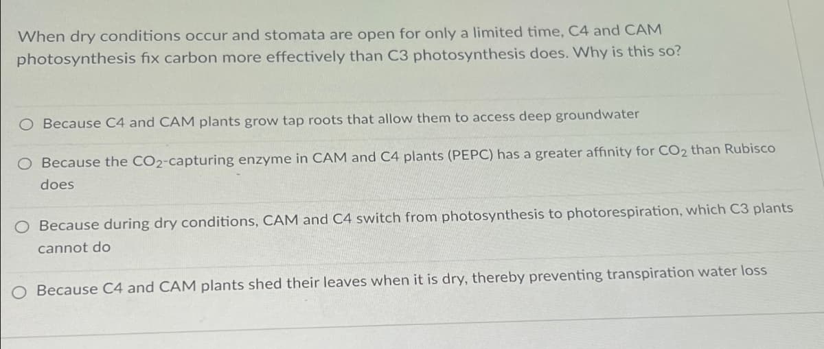 When dry conditions occur and stomata are open for only a limited time, C4 and CAM
photosynthesis fix carbon more effectively than C3 photosynthesis does. Why is this so?
Because C4 and CAM plants grow tap roots that allow them to access deep groundwater
Because the CO2-capturing enzyme in CAM and C4 plants (PEPC) has a greater affinity for CO₂ than Rubisco
does
O Because during dry conditions, CAM and C4 switch from photosynthesis to photorespiration, which C3 plants
cannot do
O Because C4 and CAM plants shed their leaves when it is dry, thereby preventing transpiration water loss